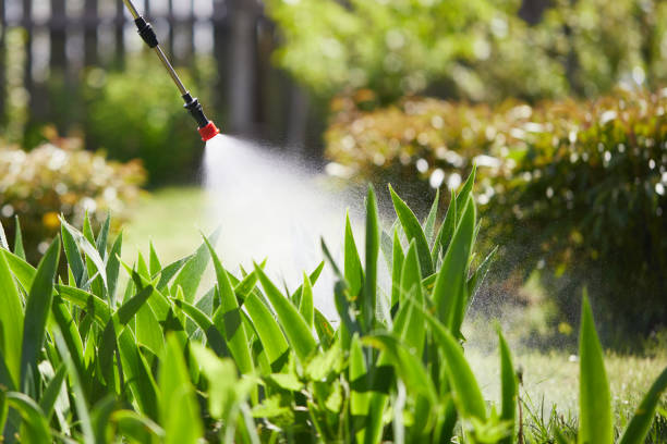 24/7 Emergency Mosquito Control experts in Tualatin, OR