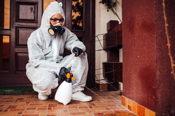 Reliable Mosquito Control contractor in Tualatin, OR by Show Me Pest Control